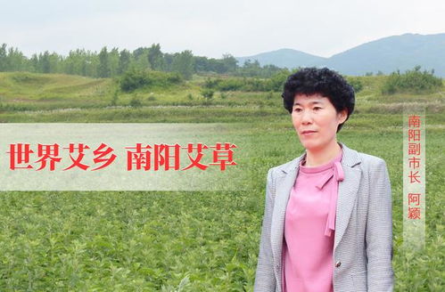 南阳艾草 一株香草托起的健康服务新未来