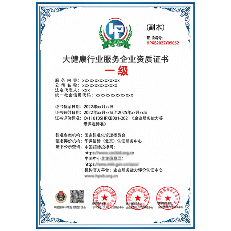 大健康行业服务资质证书与企业投标一级证书办理全攻略 健康服务领域实操指南